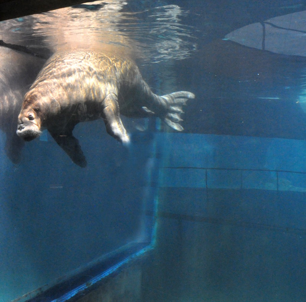 Foto de Valencia (València), España
