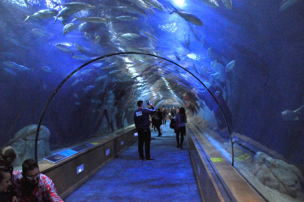 Foto de Valencia (València), España