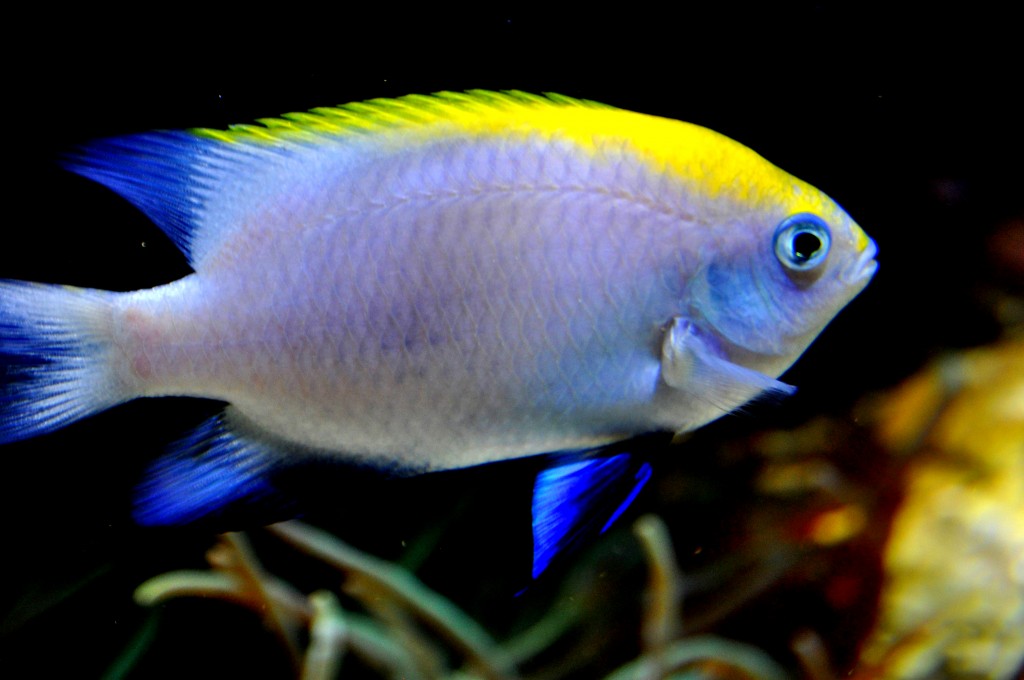 Foto de Valencia (València), España