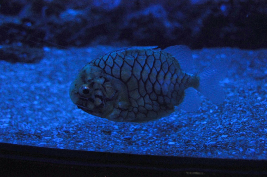 Foto de Valencia (València), España