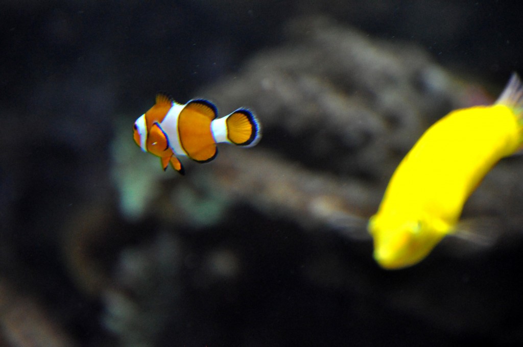 Foto de Valencia (València), España