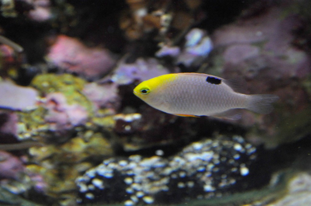 Foto de Valencia (València), España