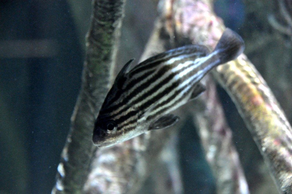 Foto de Valencia (València), España