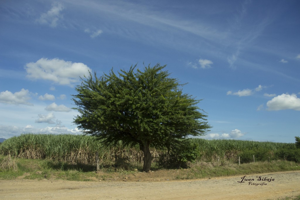 Foto de Guanacaste, Costa Rica