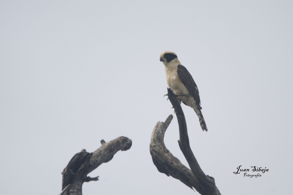 Foto de Guanacaste, Costa Rica