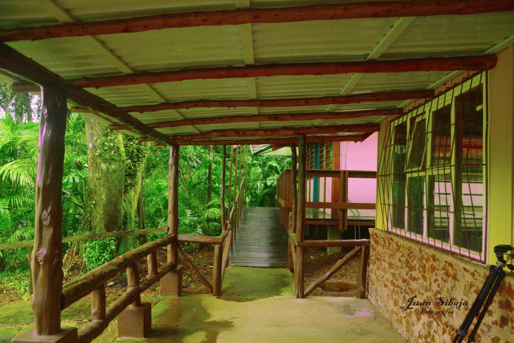 Foto de Alajuela, Costa Rica