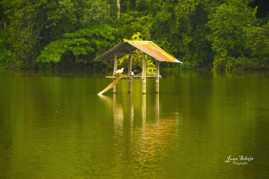 Foto de Alajuela, Costa Rica