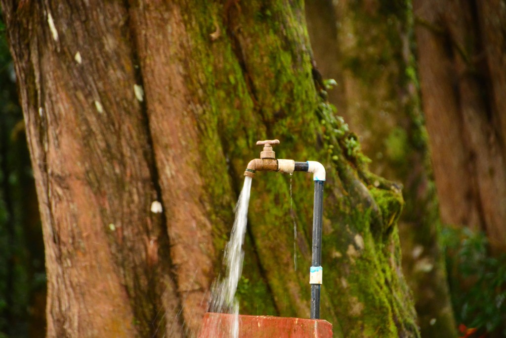 Foto de Alajuela, Costa Rica