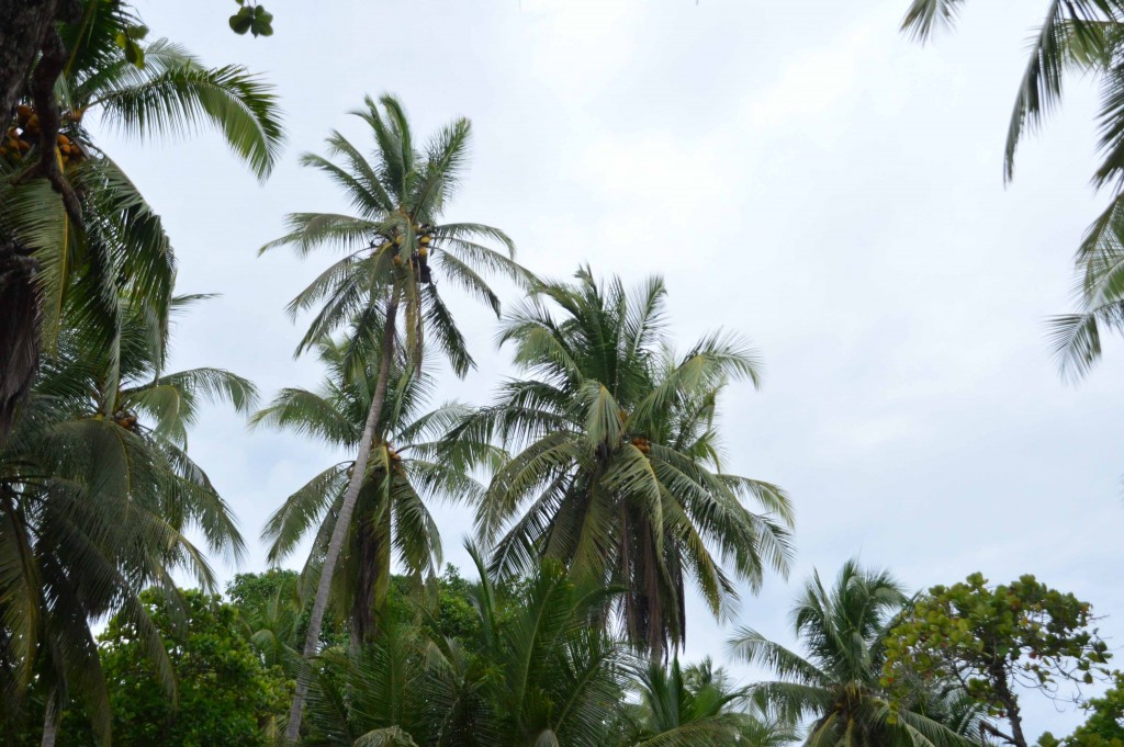 Foto de Alajuela, Costa Rica