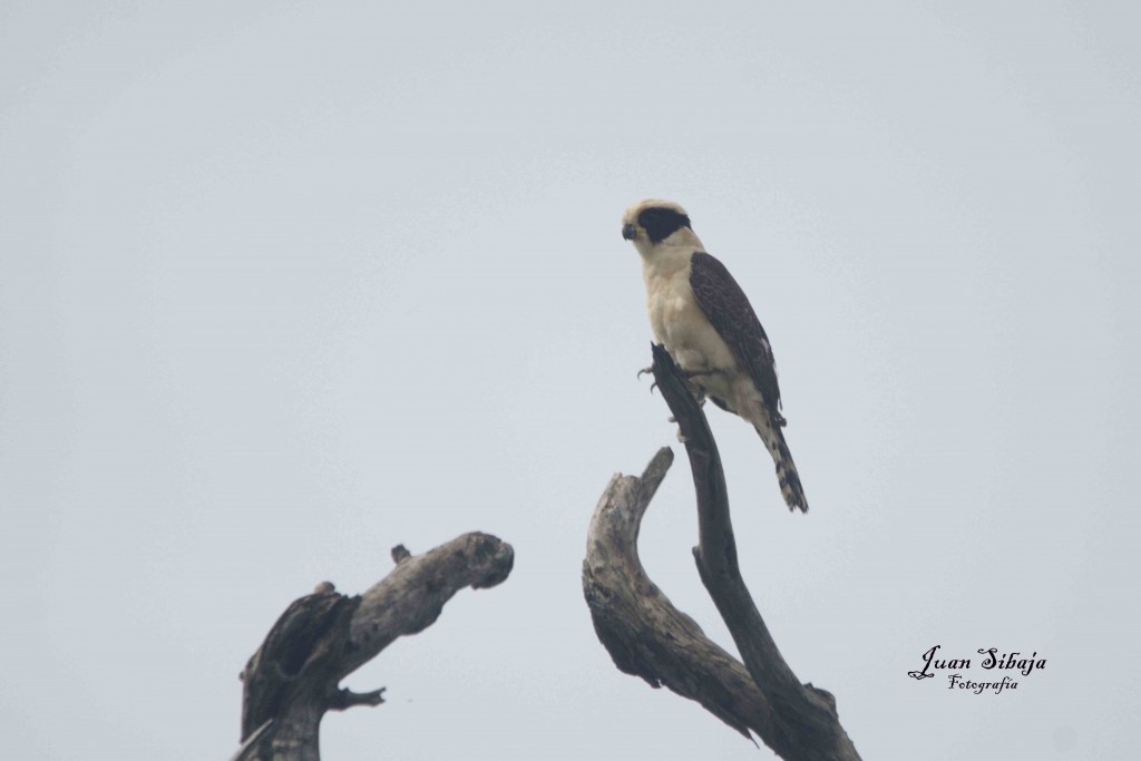 Foto de Guanacaste, Costa Rica