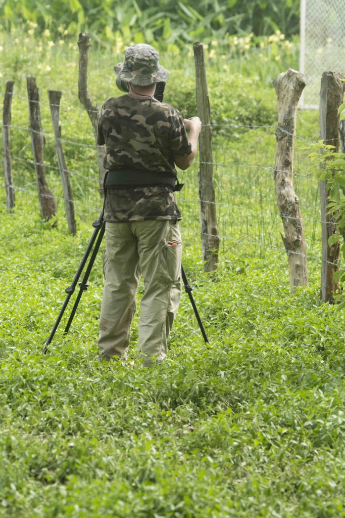 Foto de Guanacaste, Costa Rica