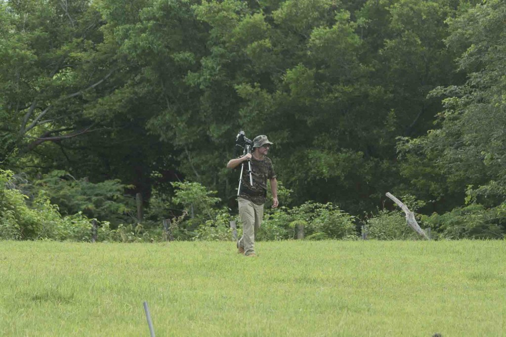 Foto: En el bosque - Guanacaste, Costa Rica
