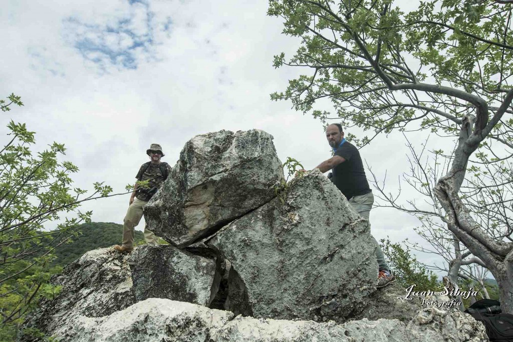 Foto de Guanacaste, Costa Rica