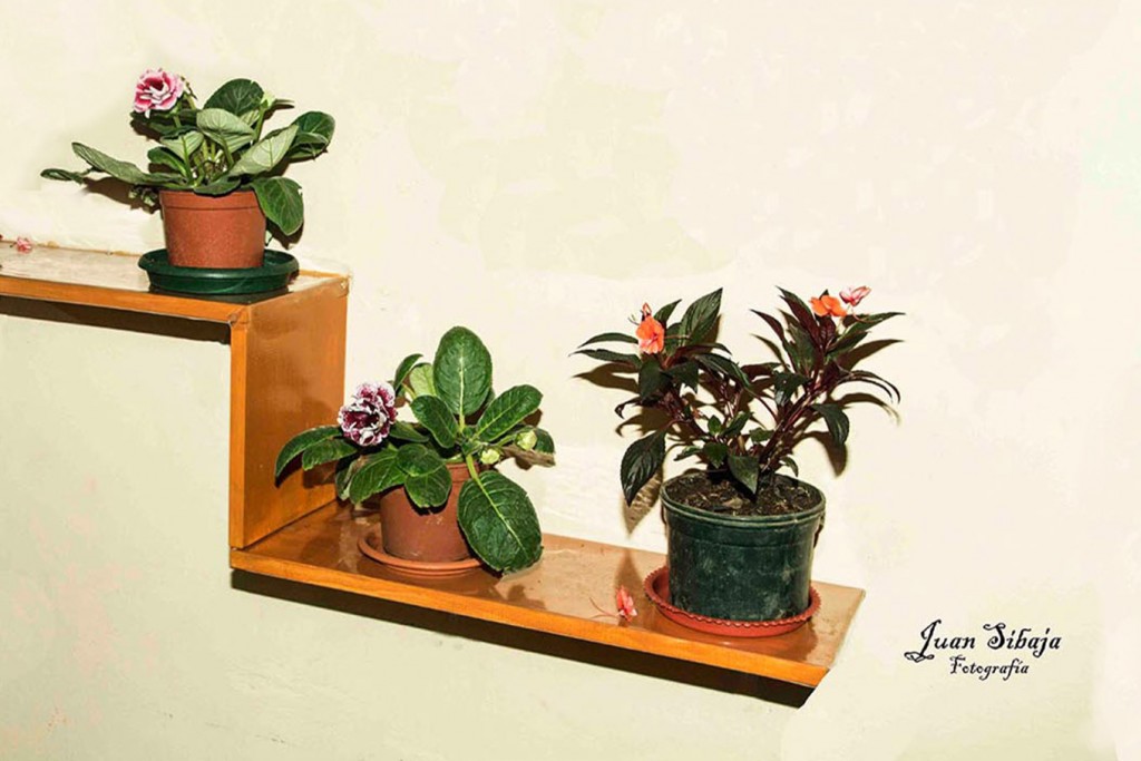 Foto de Alajuela, Costa Rica