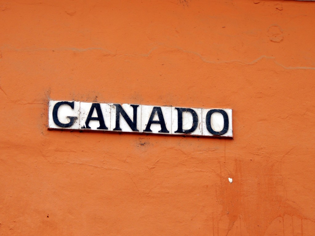 Foto de El Puerto de Santa María (Cádiz), España