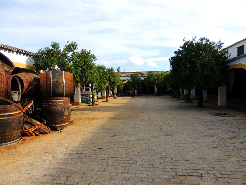 Foto de El Puerto de Santa María (Cádiz), España