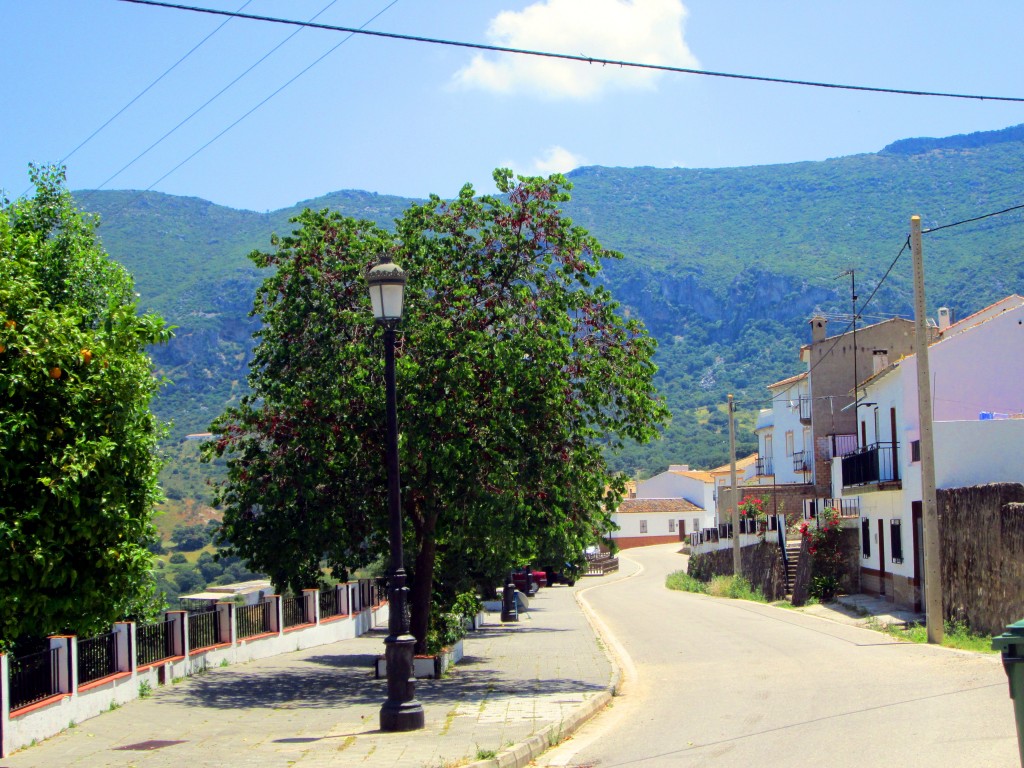 Foto: Avdª de Cádiz - La Muela (Cádiz), España