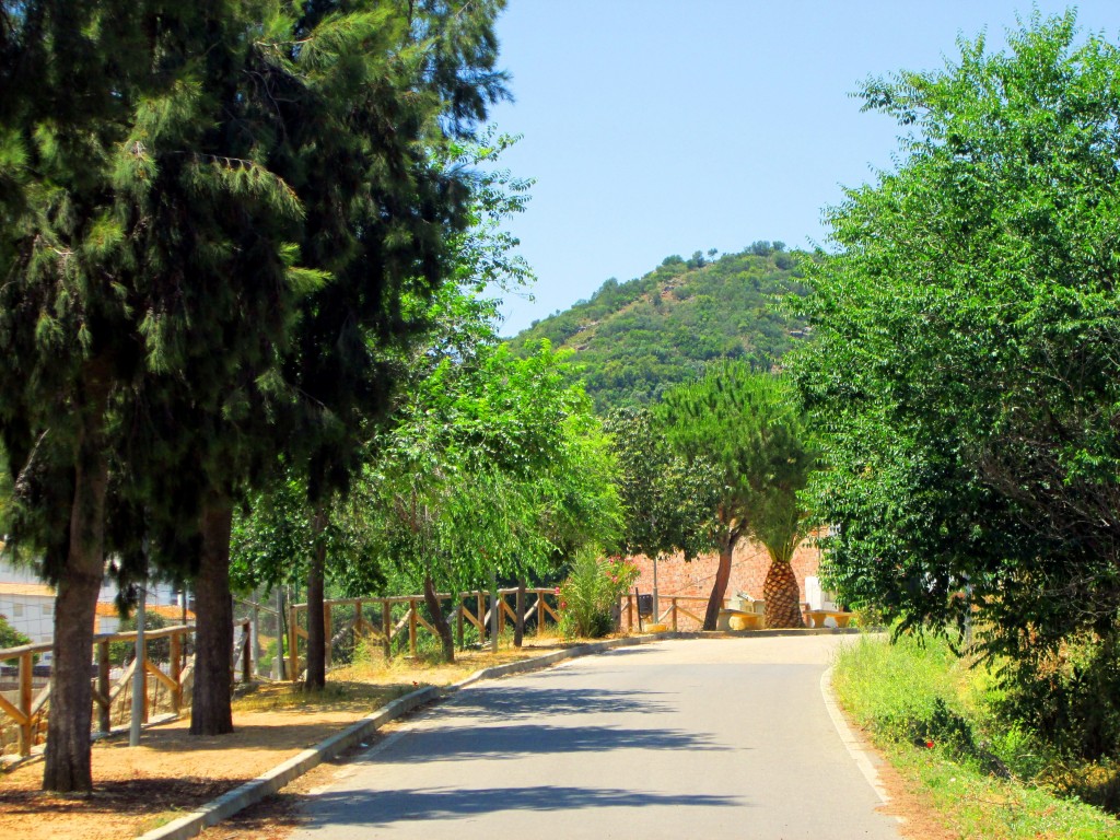 Foto: Avenida de Cádiz - La Muela (Cádiz), España