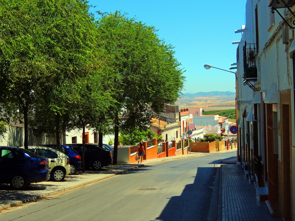 Foto: Avenida del Guadalquivir - Trebujena (Cádiz), España