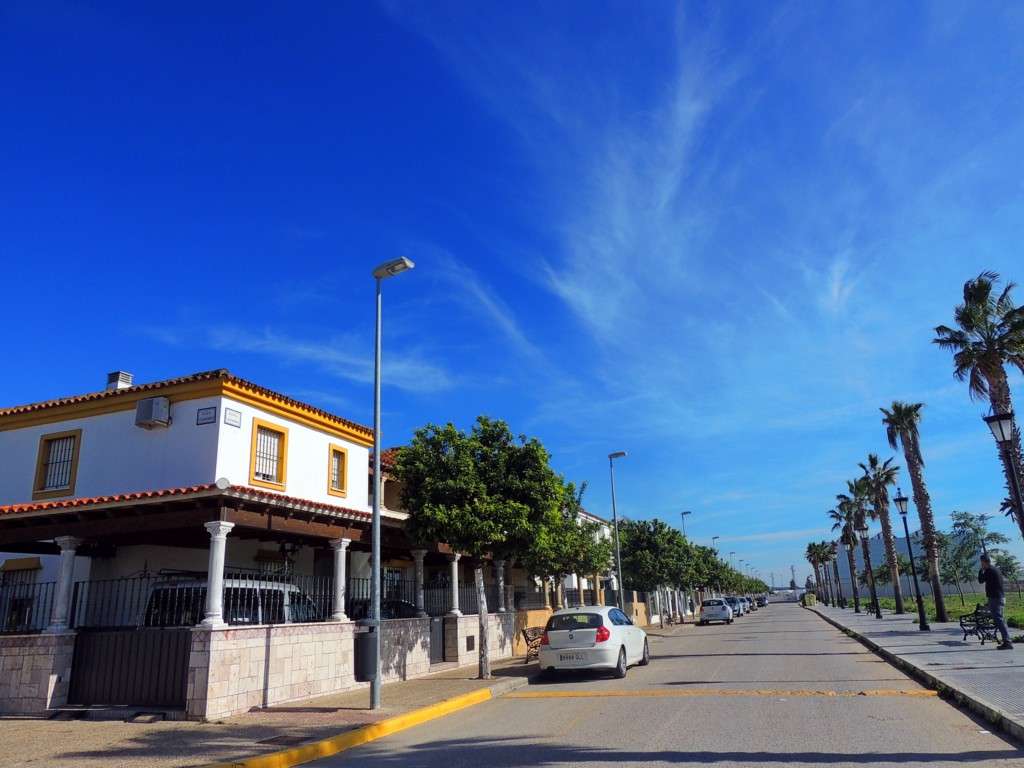 Foto: Avenida Los Colonos - Nueva Jarilla (Cádiz), España