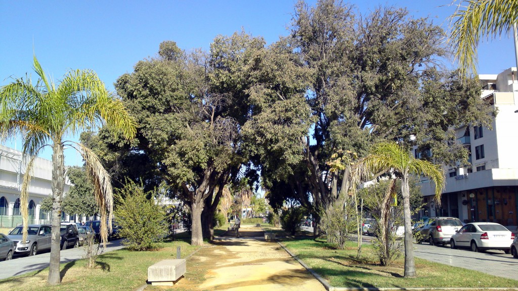 Foto: Avenida Voltaire - Jerez de la Frontera (Cádiz), España