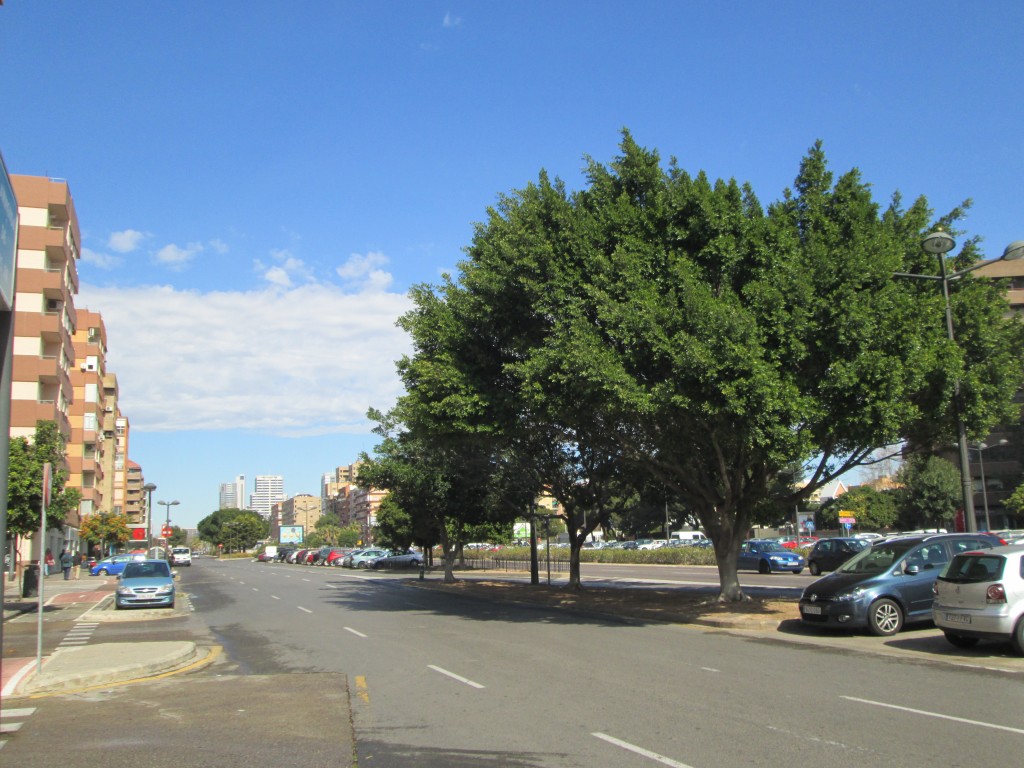 Foto: Avenida Pius XII - Valencia (València), España