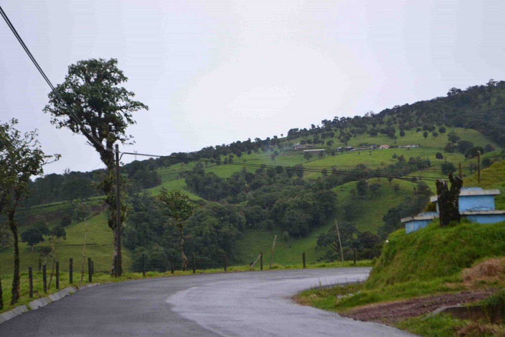 Foto de Los Cartagos (Alajuela), Costa Rica