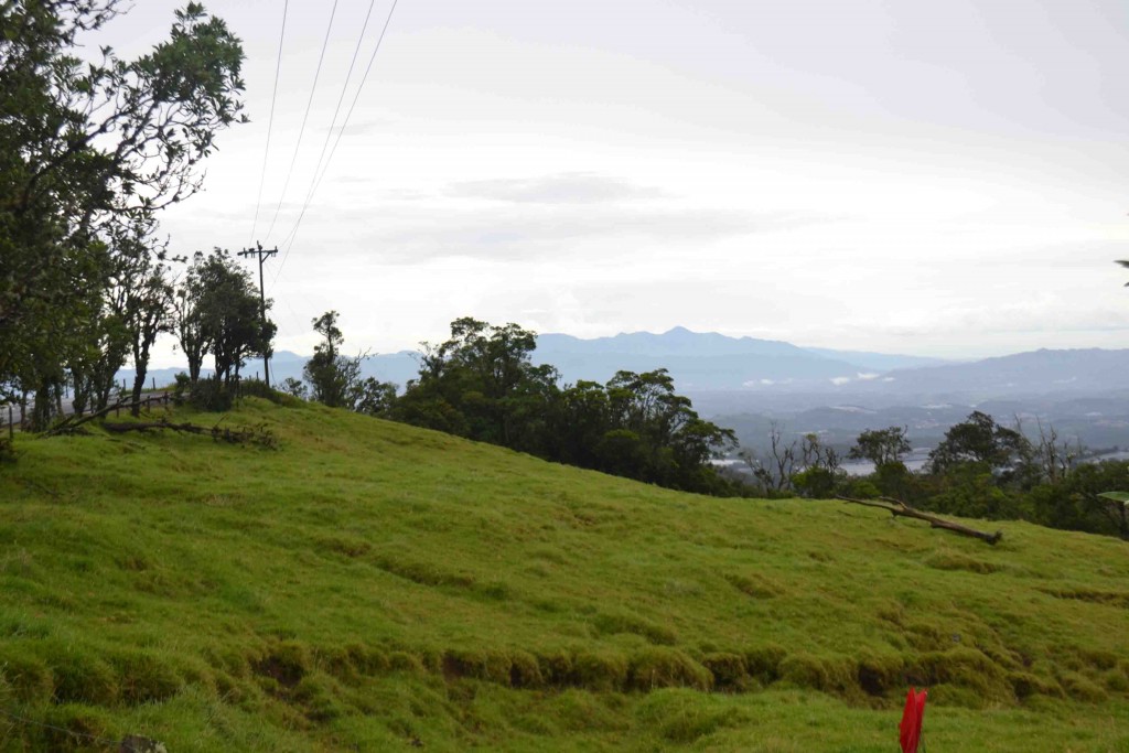 Foto de Los Cartagos (Alajuela), Costa Rica