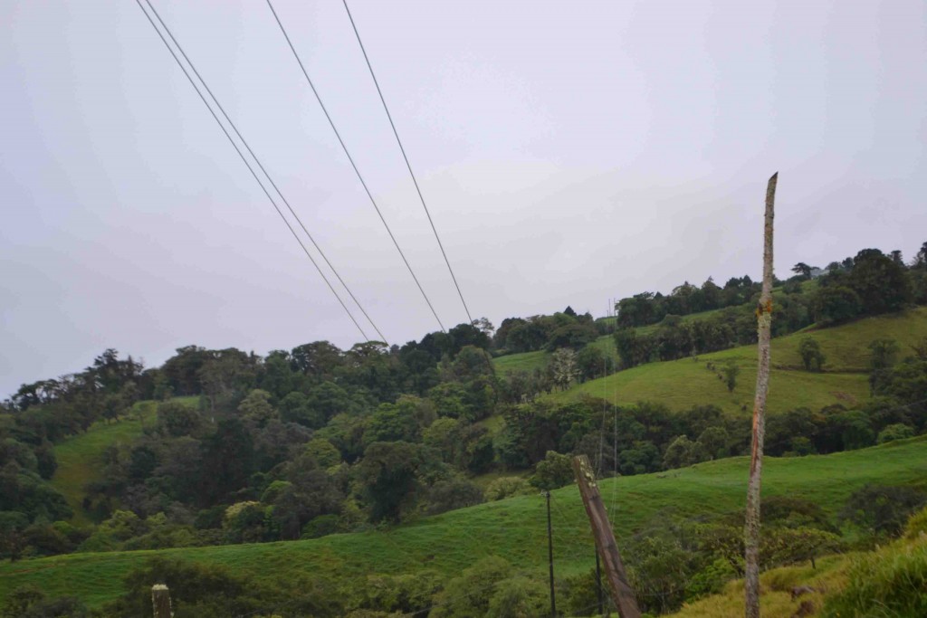 Foto de Los Cartagos (Alajuela), Costa Rica