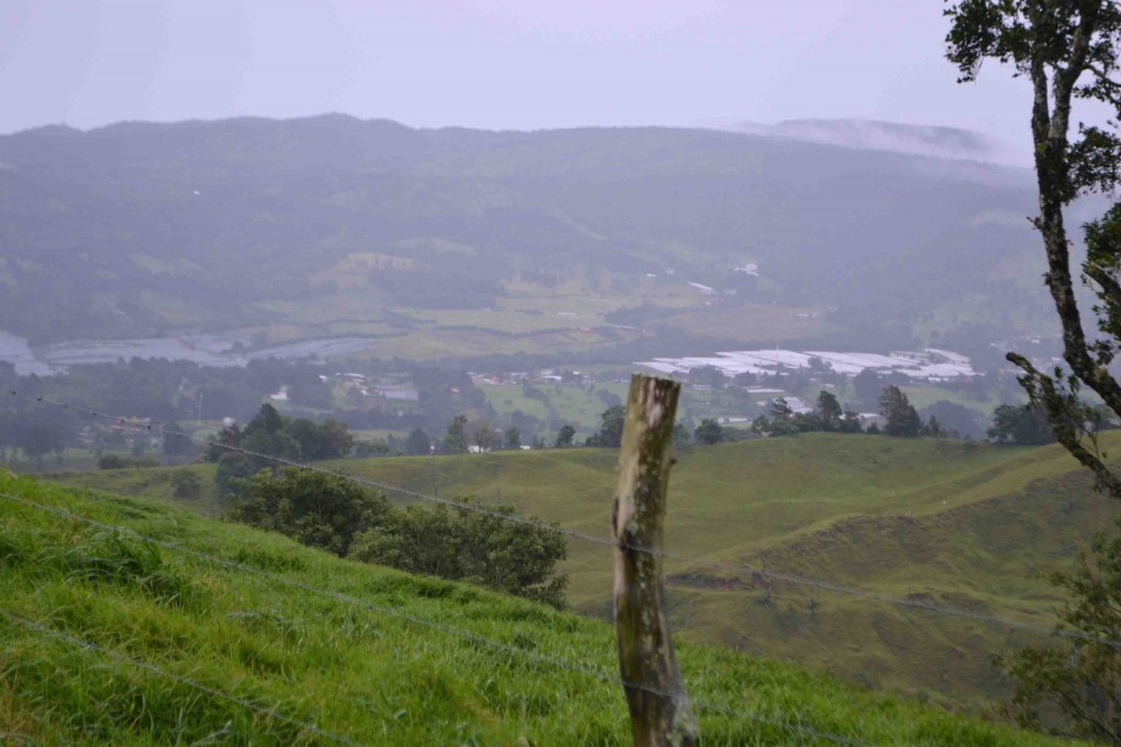 Foto de Los Cartagos (Alajuela), Costa Rica