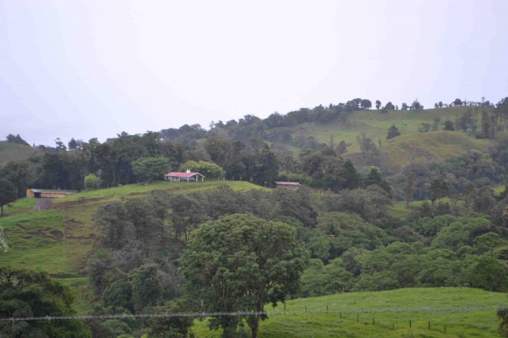 Foto de Los Cartagos (Alajuela), Costa Rica