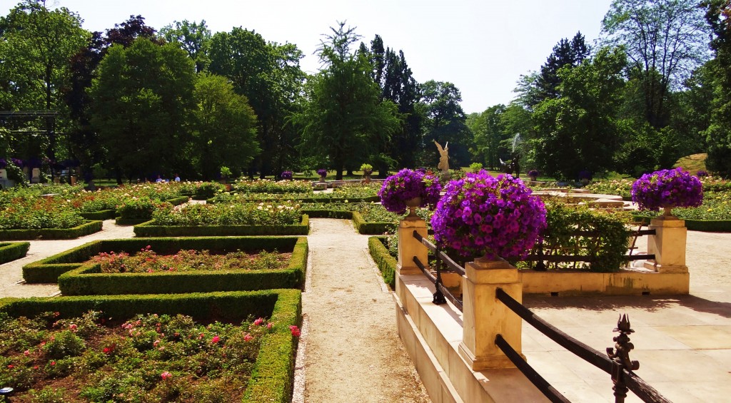 Foto: Pałac w Wilanowie - Wilanów (Masovian Voivodeship), Polonia