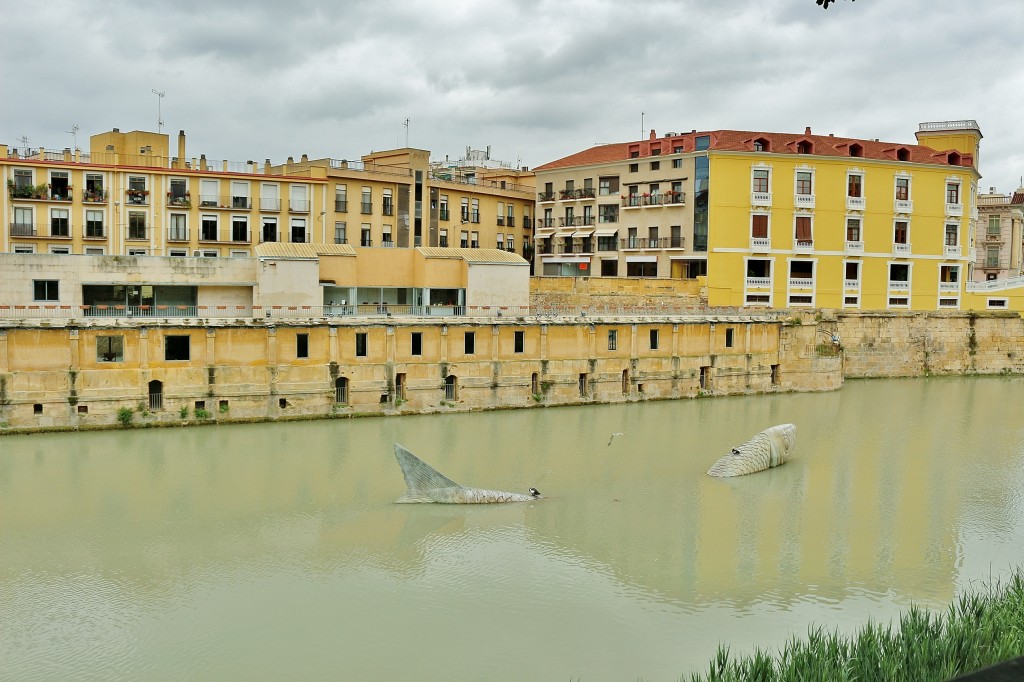 Foto: Vista de la ciudad - Murcia, España