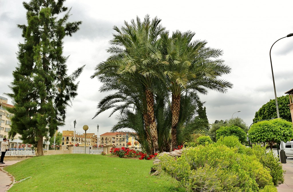 Foto: Vista de la ciudad - Murcia, España