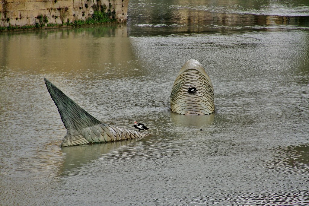 Foto: Vista de la ciudad - Murcia, España