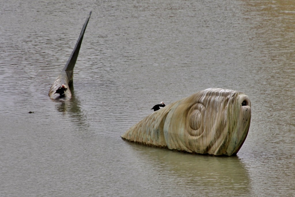 Foto: Vista de la ciudad - Murcia, España