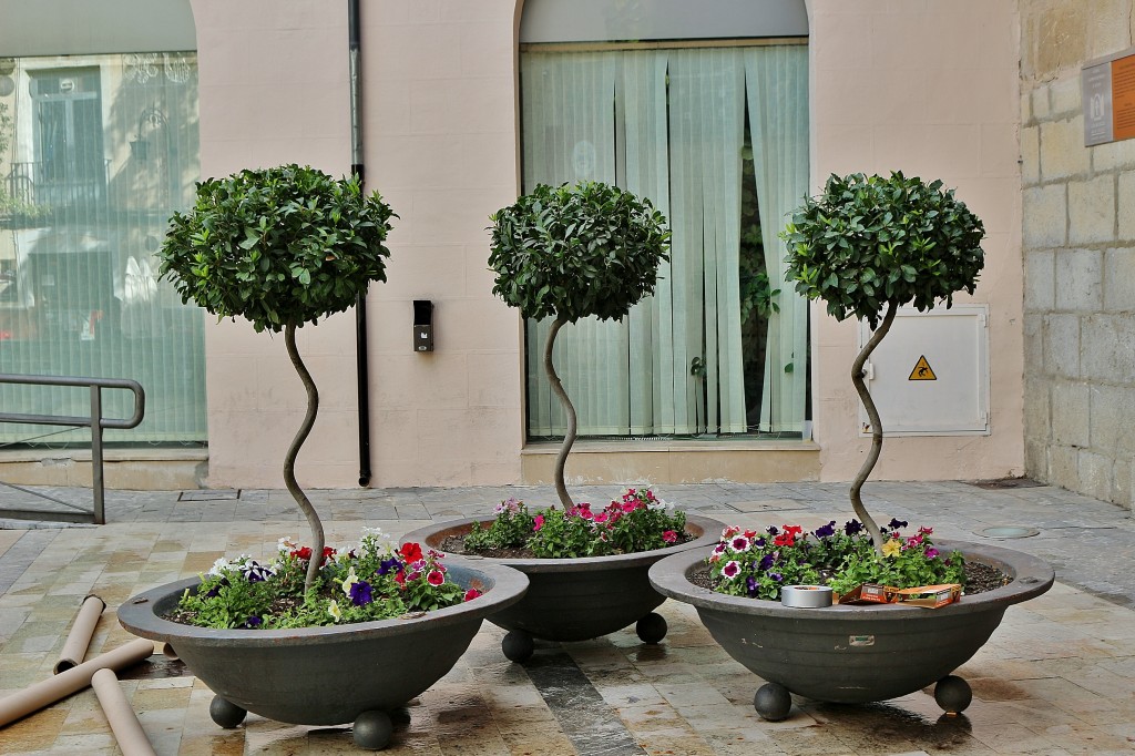 Foto: Centro histórico - Caravaca de la Cruz (Murcia), España