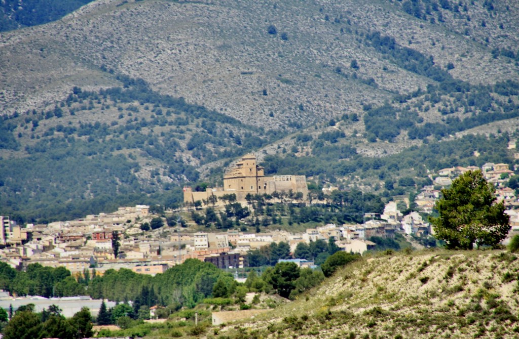 Foto: Paisaje - Cehegín (Murcia), España