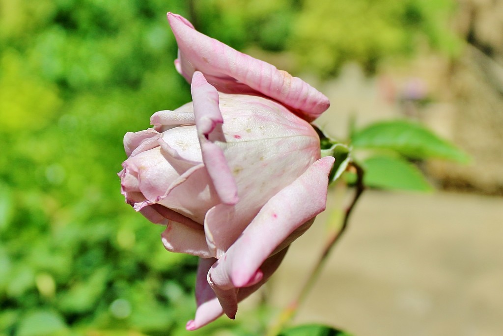 Foto: Santuario de la Virgen de la Esperanza - Calasparra (Murcia), España