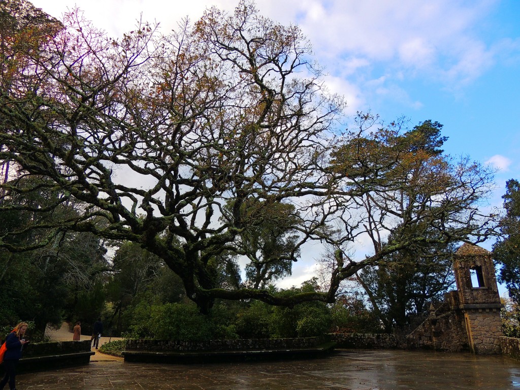Foto de Sintra (Lisbon), Portugal