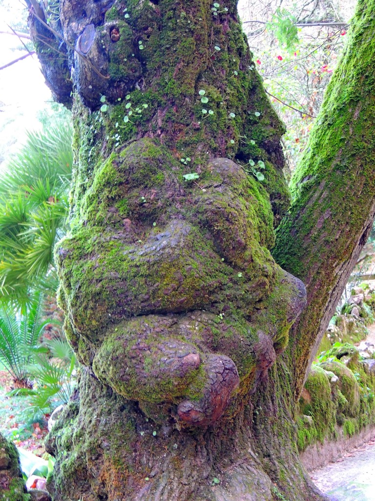 Foto de Sintra (Lisbon), Portugal