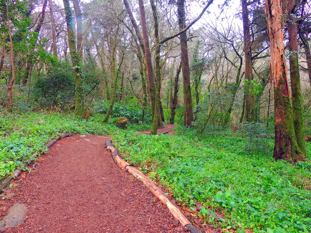 Foto de Sintra (Lisbon), Portugal