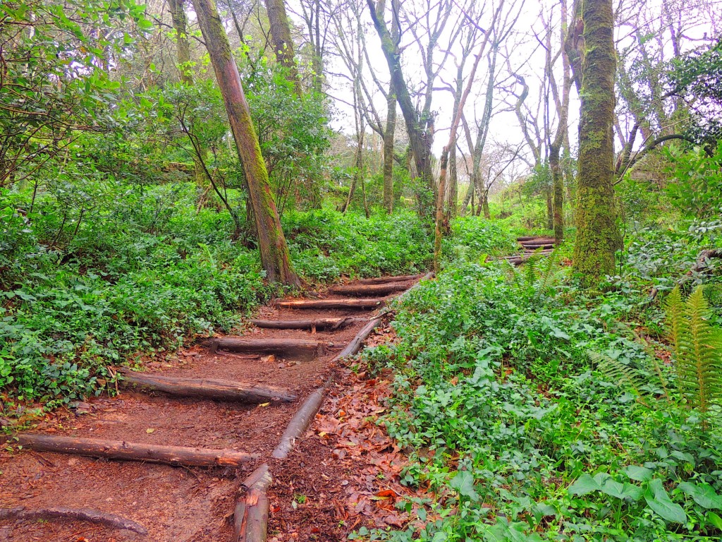 Foto de Sintra (Lisbon), Portugal