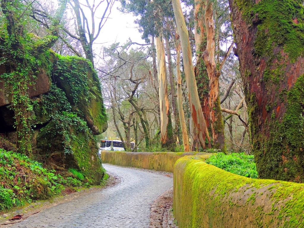 Foto de Sintra (Lisbon), Portugal