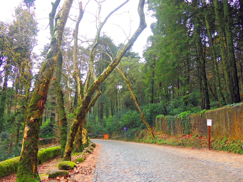 Foto de Sintra (Lisbon), Portugal