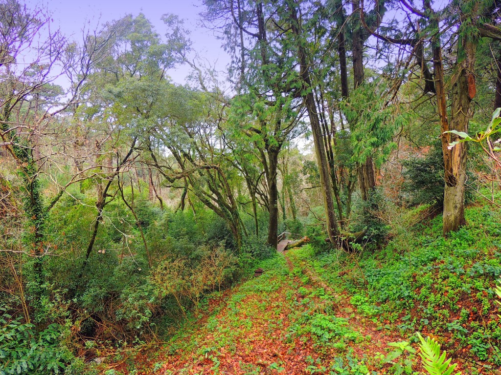 Foto de Sintra (Lisbon), Portugal