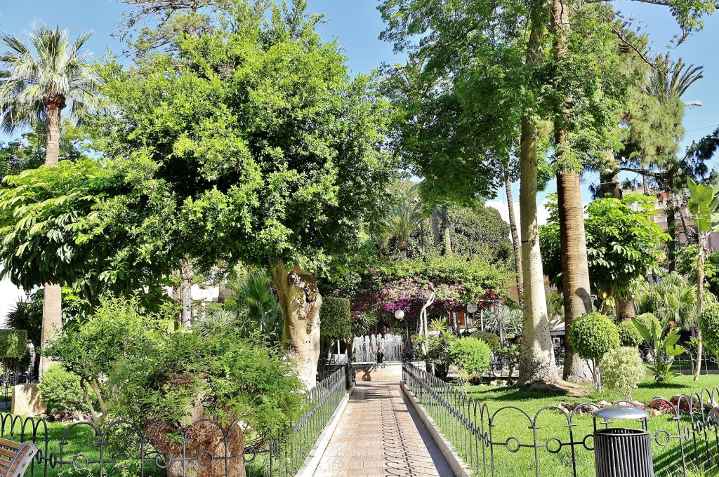Foto: Parque - Aguilas (Murcia), España