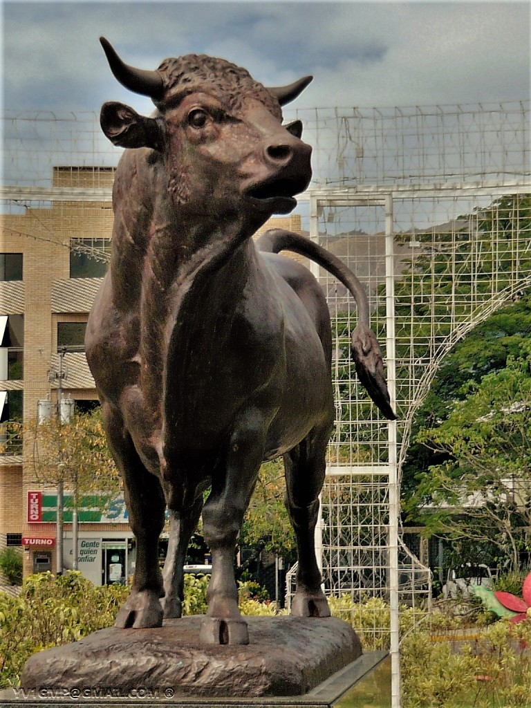 Foto: El Toro de Las Delicias - Maracay (Aragua), Venezuela