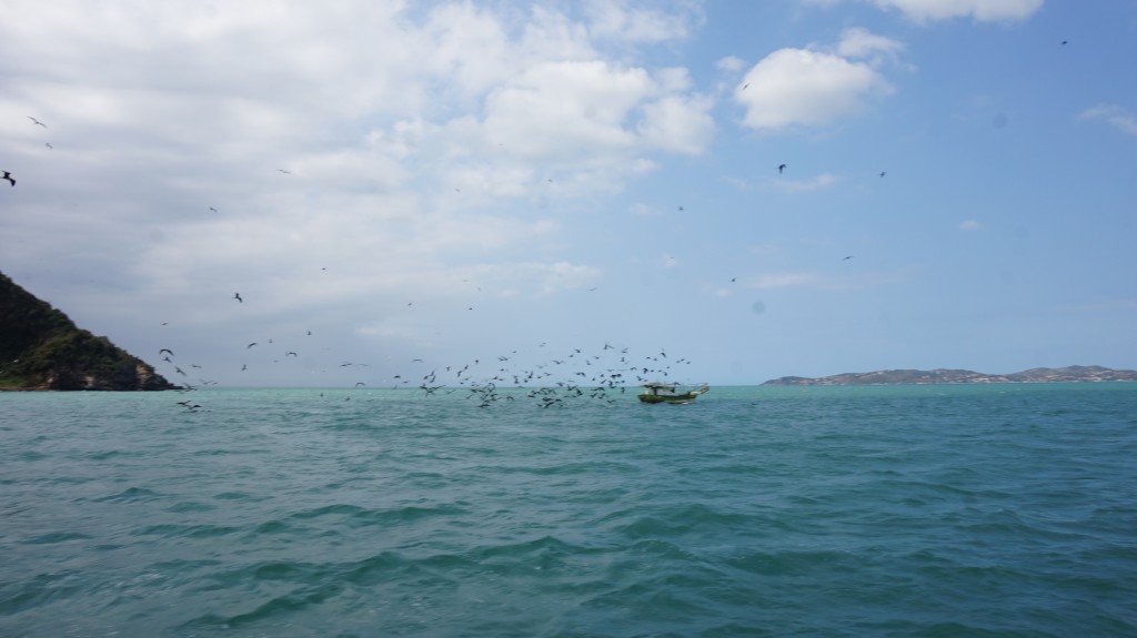 Foto: Buzios - Buzios (Rio de Janeiro), Brasil