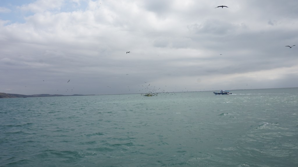 Foto: Buzios - Buzios (Rio de Janeiro), Brasil